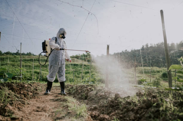 Best Pest Control Treatment  in Pacolet, SC