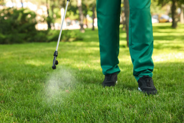 Flea Control Services in Pacolet, SC