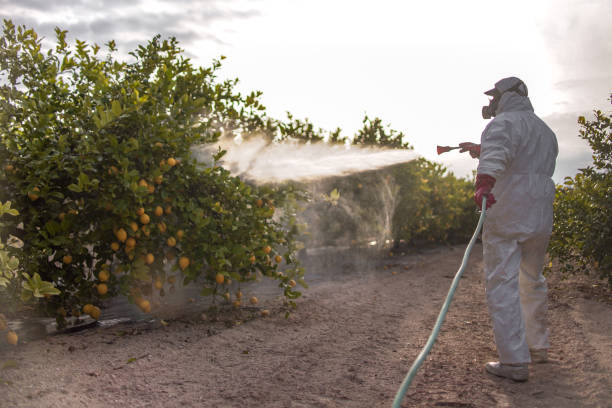 Best Pest Inspection Near Me  in Pacolet, SC