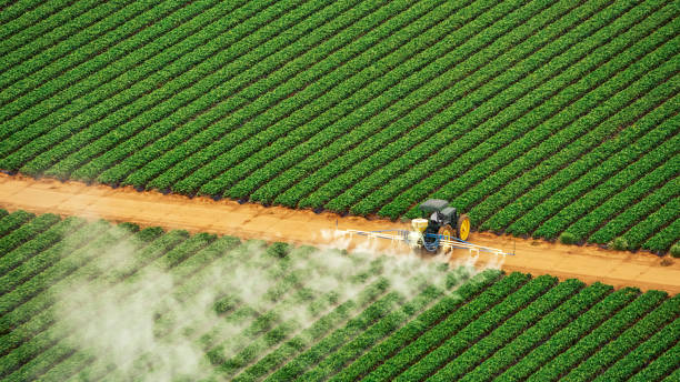Best Pest Control Near Me in Pacolet, SC